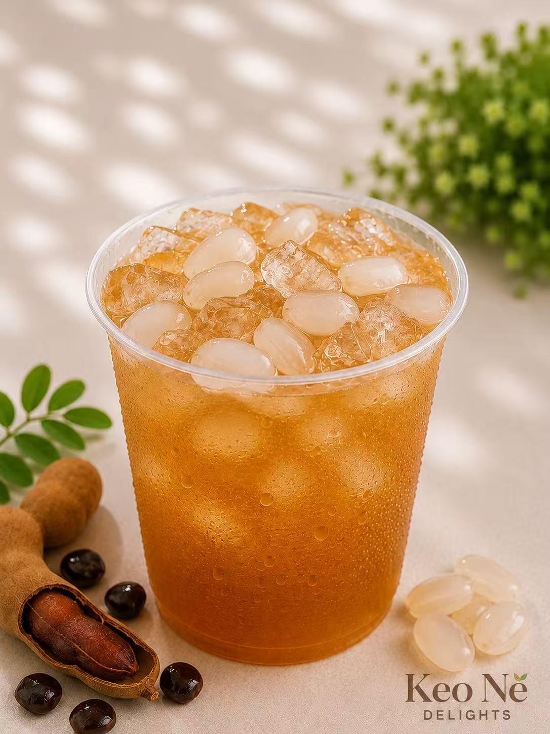Tamarind Palm Seed Cooler